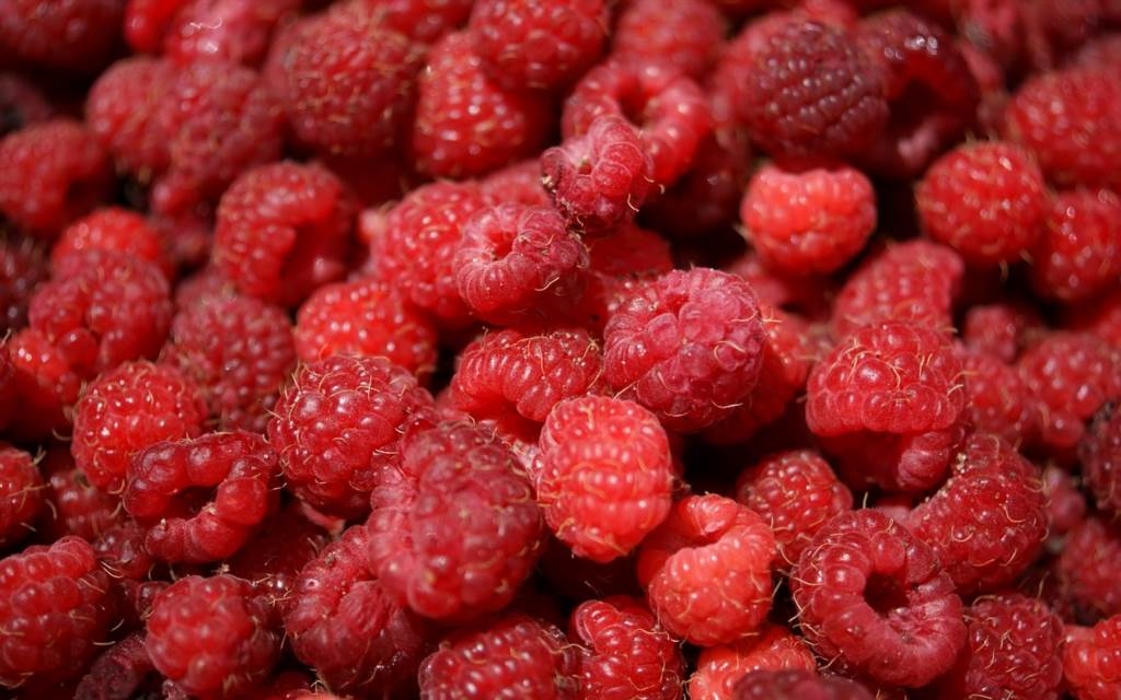 Słoiki na mus malinowy jak je przygotować